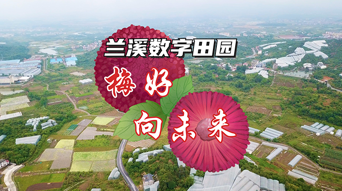 蘭溪數(shù)字田園——梅好，向未來(lái)！