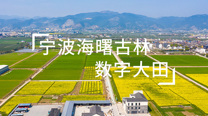 媒體聚焦寧波海曙古林?jǐn)?shù)字大田