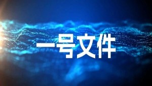 首提“農(nóng)業(yè)新質(zhì)生產(chǎn)力”，2025年中央一號文件在智慧農(nóng)業(yè)領(lǐng)域傳遞了哪些重要信號？