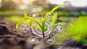 打造“AI+表型”新范式，托普云農(nóng)“高通量植物表型智能分析平臺(tái)”煥新上線！